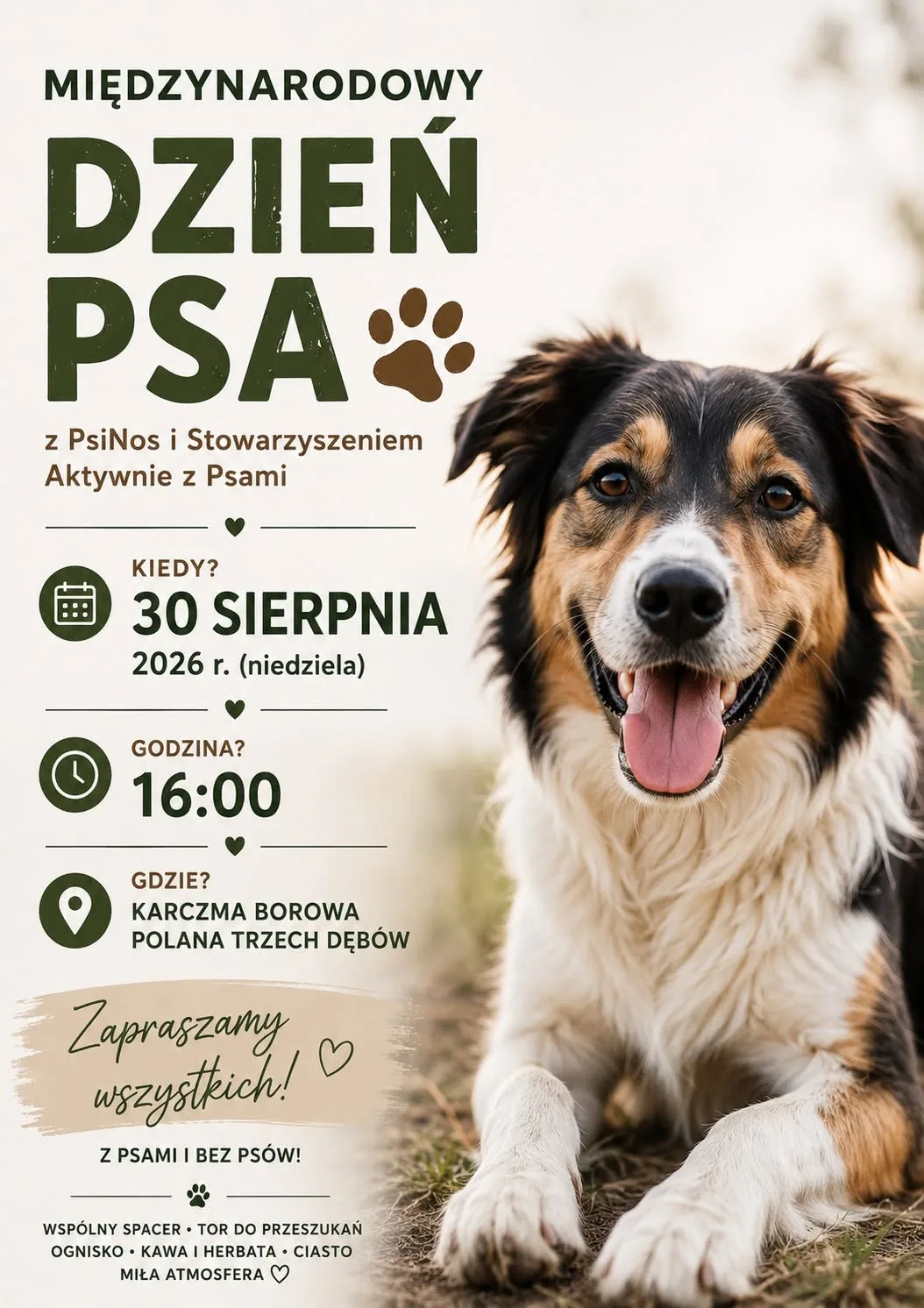 Międzynarodowy Dzień Psa z PsiNos i Stowarzyszeniem Aktywnie z Psami